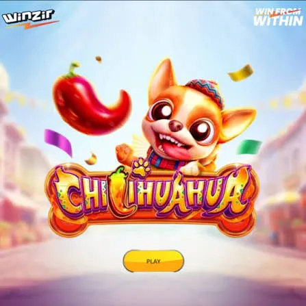 Chilihuahua