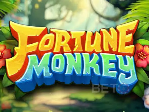 Fortune Monkey