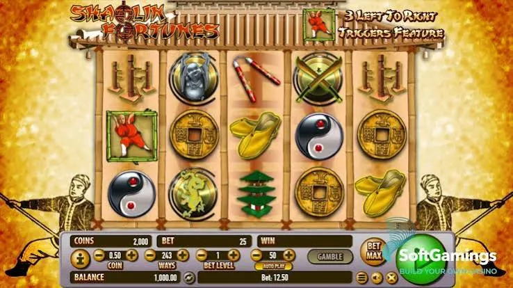 Shaolin Fortunes